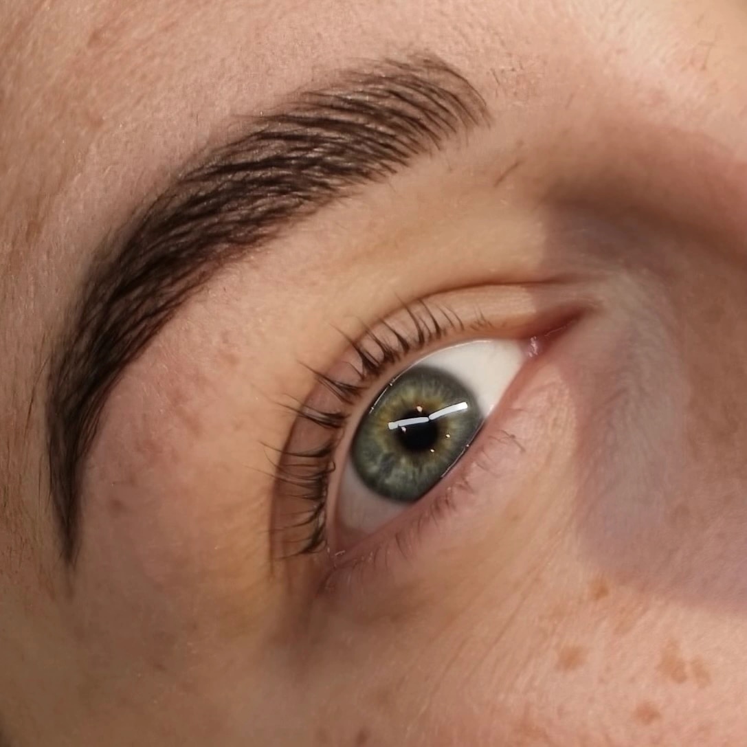 In Form gelegte Augenbrauen nach der Brow Lamination