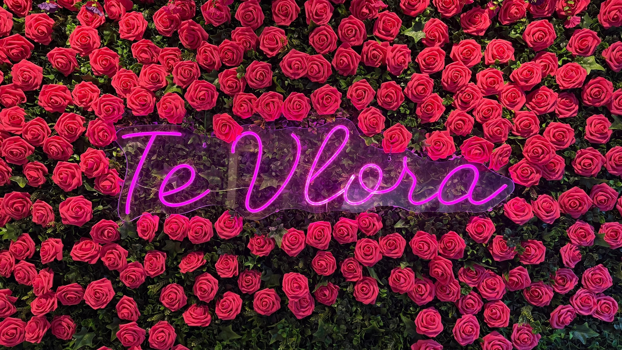 Die Rosenwand mit dem pinken Neon-Schriftzug „Te Vlora“